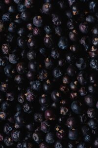 Close-up of fresh juniper berries creating a dark textured background. Perfect for food and nature themes.