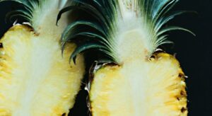 pineapple slices with crown