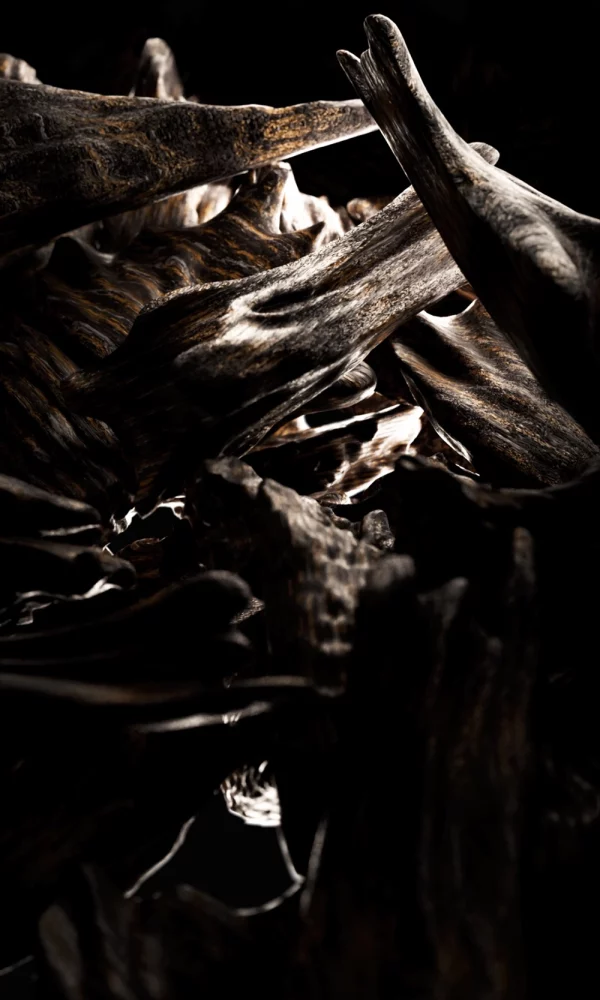 Oud Absolu – Huile Parfumée Une huile parfumée luxueuse qui sublime la richesse de l'oud à travers une texture soyeuse et une tenue exceptionnelle. Sa formule nourrit délicatement la peau tout en diffusant un parfum intense, élégant et profondément raffiné. Méta-description SEO : Découvrez Oud Absolu, l'huile parfumée Neil Jacquet Paris à base d'oud précieux. Une texture soyeuse et un parfum intense pour une expérience sensorielle unique.